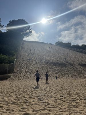 Sand Dune Park by null