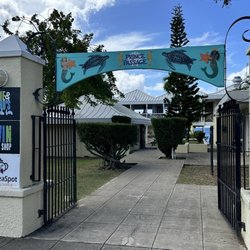 Louie & Nacho's Beach Bar - Entrada al Beach Bar