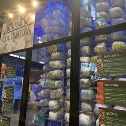 Growing and selling mushrooms at Keg & Case Market