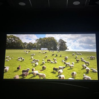 Independence Cinema - Detective Sheep Movie - Cinema Near Me - Independence, Oregon Independence Cinema - Detective Sheep Movie - Cinema Near Me - Independence, Oregon