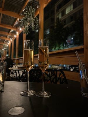 The Rind by null