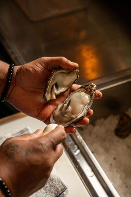 Maria's Oyster Bar by null