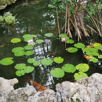 Lincoln Park Conservatory - Parks Near Me - Chicago, Illinois