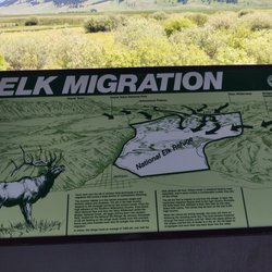 The National Elk Refuge - Elk Info