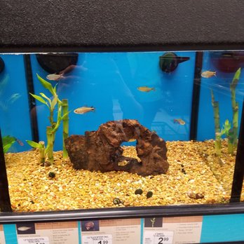 Petco - Nice selection - Pet Groomers Near Me - Bothell, Washington