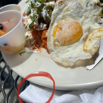 iJAVA Cafe - Short grey hair pulled out of Chilaquiles - Cafes Near Me - San Jose, California