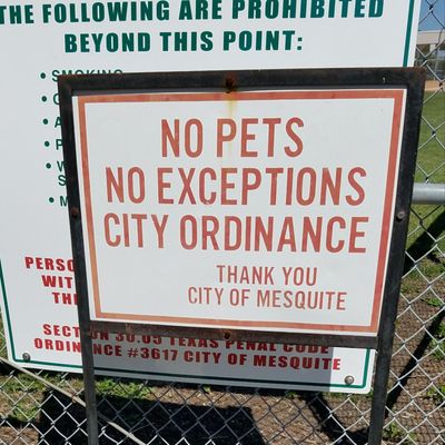 Mesquite Girls Softball Complex