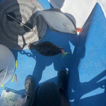 Gypsea Fishing Charters - A double hitter lol - Fishing Near Me - Howard Beach, New York