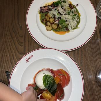 Luchini Italian Restaurant - Burata and the grilled octopus - Italian Near Me - Las Vegas, Nevada Luchini Italian Restaurant - Burata and the grilled octopus - Italian Near Me - Las Vegas, Nevada