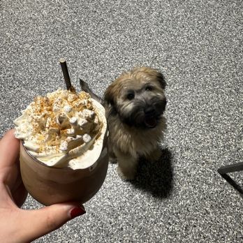 Park-9 Dog Bar - Bars Near Me - Everett, Massachusetts Park-9 Dog Bar - Bars Near Me - Everett, Massachusetts