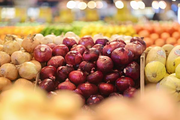Seed to Table by null