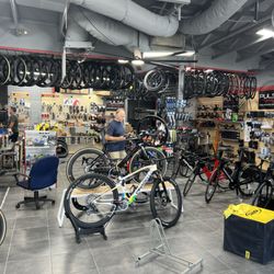Pulse Endurance Sports