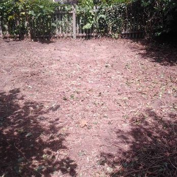 Helping Hand Service 215 - Weeds through whole yard.
After picture! - Home Cleaning Near Me Helping Hand Service 215 - Weeds through whole yard.
After picture! - Home Cleaning Near Me