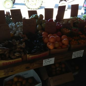 County Line Produce - Fruits & Veggies Near Me - Hastings, Florida County Line Produce - Fruits & Veggies Near Me - Hastings, Florida