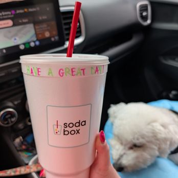 SodaBox - XL Summer Berry Fling Seltzer - lifewithhanny - Desserts Near Me - Cary, North Carolina SodaBox - XL Summer Berry Fling Seltzer - lifewithhanny - Desserts Near Me - Cary, North Carolina