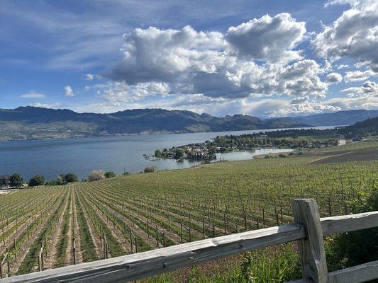 Old Vines Restaurant @ Quails' Gate Winery by null