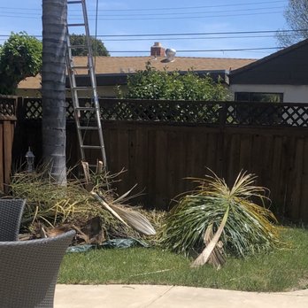 Buena Vista Tree Service - Tidy debris - Tree Services Near Me - Livermore, California Buena Vista Tree Service - Tidy debris - Tree Services Near Me - Livermore, California