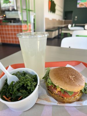 Earth Burger by null