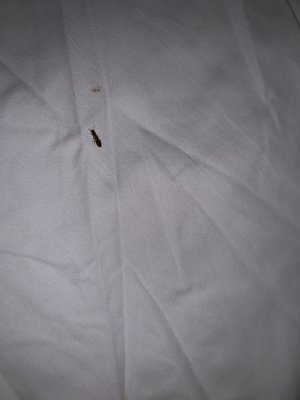 South Beach Hotel by null