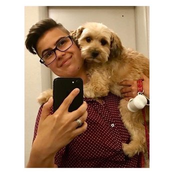 Cat Dog Care - Pet Training Near Me Cat Dog Care - Pet Training Near Me