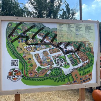 Live Oak Canyon Pumpkin Patch and Christmas Tree Farm - Closed off some of the patch during Dias Los Muertos event. - Christmas Trees Near Me - Redlands, California Live Oak Canyon Pumpkin Patch and Christmas Tree Farm - Closed off some of the patch during Dias Los Muertos event. - Christmas Trees Near Me - Redlands, California