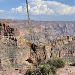 The Grand Canyon West Rim