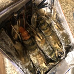 Bayon Market - Fresh river prawns