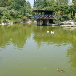 Değirmen Çınar Restaurant