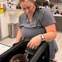 ACTS Veterinary Care