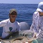 Photo of Reel Attraction Charters