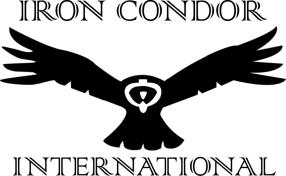 IRON CONDOR INSPECTION SERVICES - Updated July 2025 - Request a Quote ...