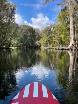 Ichetucknee Springs State Park by null