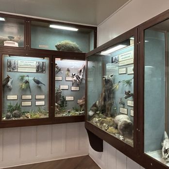 Longmire Museum - Exhibits - Visitor Centers Near Me Longmire Museum - Exhibits - Visitor Centers Near Me