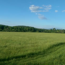 Five Tree Hill Country Park - Field in front of the parking area.
