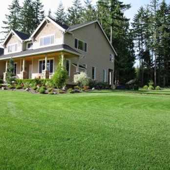 Canyon Hydroseeding - a home in the woods - Lawn Services Near Me - Colton, California