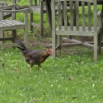 The Old Field - Venues & Event Spaces Near Me - Southold, New York