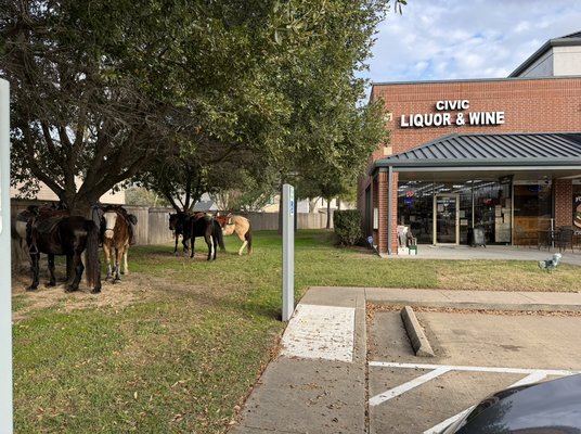 Civic Liquor and Wine #2