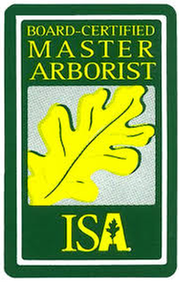 Coughlin Tree Service - tree service in Springfield, IL