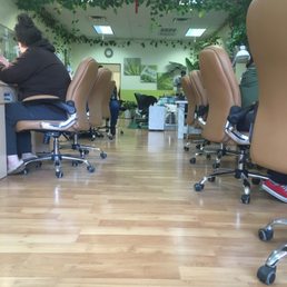 Bright and clean. The pedicure area looks like a jungle. Bright and clean. The pedicure area looks like a jungle.
