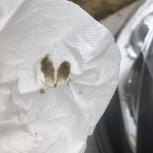 CASTROL PREMIUM LUBE EXPRESS - 14 Photos & 30 Reviews - Oil Change