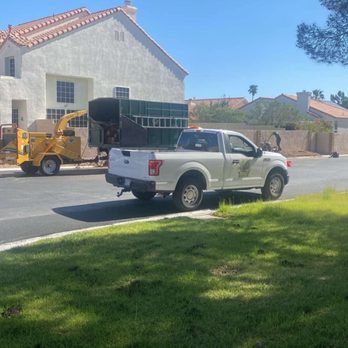 Rocky's Tree Service - Landscaping Near Me - Las Vegas, Nevada Rocky's Tree Service - Landscaping Near Me - Las Vegas, Nevada