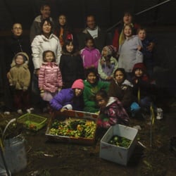 Sun, Water & Seeds 4H Club - Harvest of the Hoop House