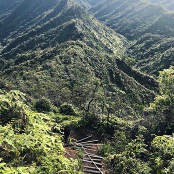 Wiliwilinui Ridge Trail - Looking back - THAT is the ridge you will have hiked along. Pretty cool. - Hiking Near Me Wiliwilinui Ridge Trail - Looking back - THAT is the ridge you will have hiked along. Pretty cool. - Hiking Near Me