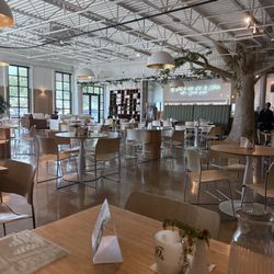 JDs - We were seated by the back when this was taken. The ambience is wonderful! Great place for meetings for team bonding or to treat clients.