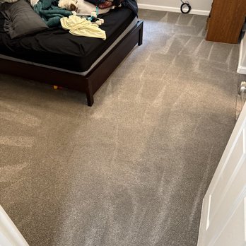 Express Cleaning Experts - Carpets where pets lay on clean and smelling fresh - Carpet Cleaning Near Me Express Cleaning Experts - Carpets where pets lay on clean and smelling fresh - Carpet Cleaning Near Me