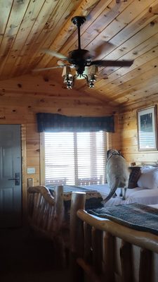 Badlands Frontier Cabins by null