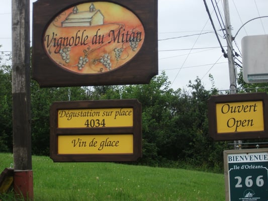 Le Vignoble du Mitan by null