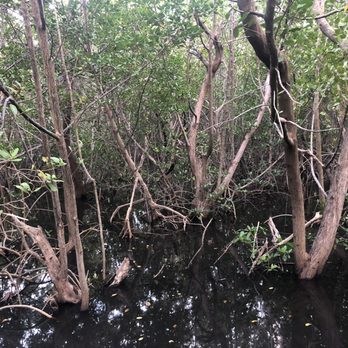 Mangrove Park - Parks Near Me - Boynton Beach, Florida