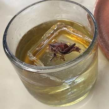 Mirate - Cocktail garnished with a Chile and Lime Infused Cricket. So good! - Mexican Near Me - Los Angeles, California Mirate - Cocktail garnished with a Chile and Lime Infused Cricket. So good! - Mexican Near Me - Los Angeles, California