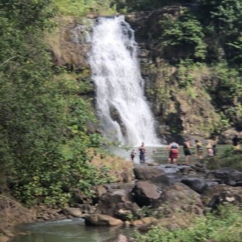 Oahu Nature Tours - Waimea Falls - Tours Near Me - Honolulu, Hawaii